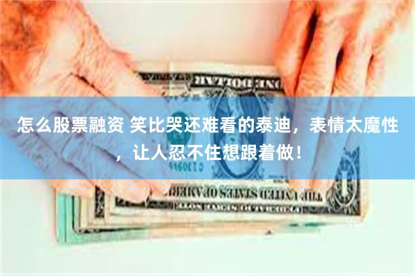 怎么股票融资 笑比哭还难看的泰迪,表情太魔性,让人忍不住想跟着做!