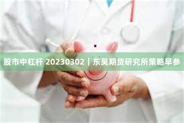 股市中杠杆 20230302｜东吴期货研究所策略早参