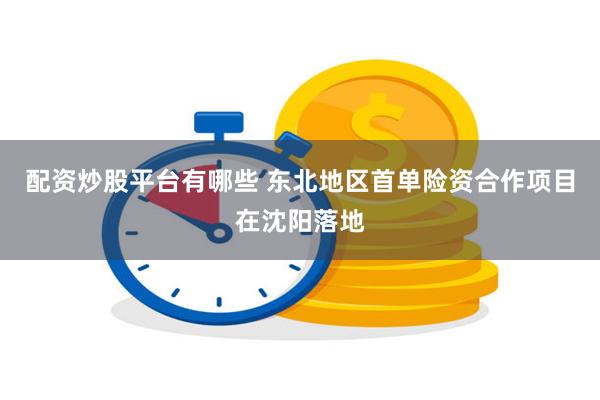 配资炒股平台有哪些 东北地区首单险资合作项目在沈阳落地