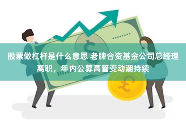 股票做杠杆是什么意思 老牌合资基金公司总经理离职,年内公募高管变动潮持续
