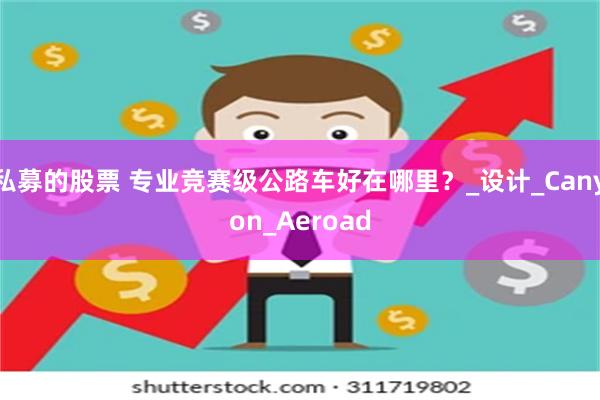 私募的股票 专业竞赛级公路车好在哪里?_设计_Canyon_Aeroad