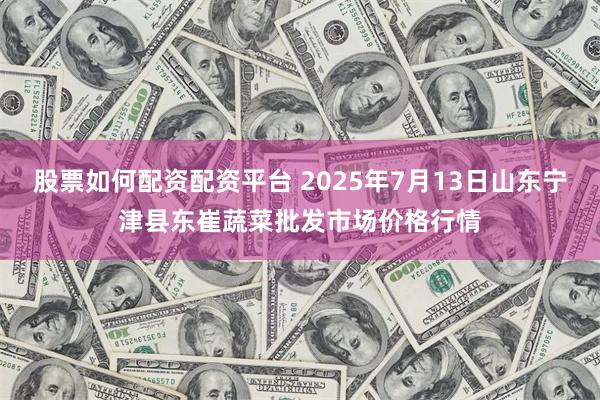 股票如何配资配资平台 2025年7月13日山东宁津县东崔蔬菜批发市场价格行情