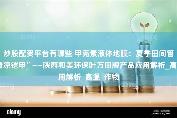 炒股配资平台有哪些 甲壳素液体地膜：夏季田间管理的“清凉铠甲”——陕西和美环保叶万田牌产品应用解析_高温_作物