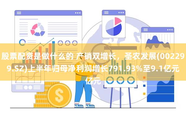 股票配资是做什么的 产销双增长，圣农发展(002299.SZ)上半年归母净利润增长791.93%至9.1亿元